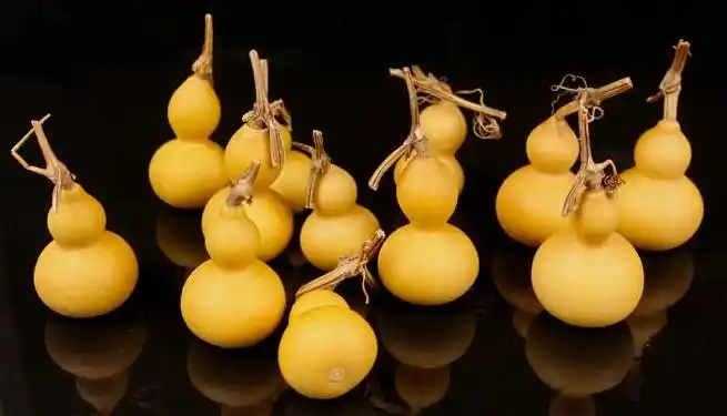 葫芦盘玩成品图片(一千万的龙头葫芦) 第2张