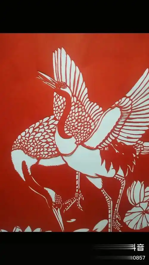 douyoung 剪纸艺术 剪纸 人人都是艺术家-生活视频-搜狐视频