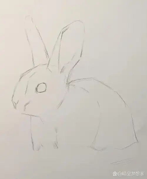 可爱又细致的素描 兔子 教程步骤详解