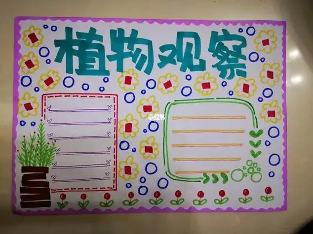 科学手抄报植物园手抄报三年级植物园手抄报中医药植物节手抄报植物园
