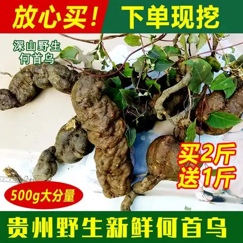 贵州何首乌野生 新鲜何首乌生首乌多年生何首乌1斤包邮