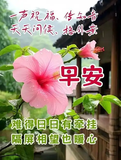 新版早晨好问候语图片最新清晨早上好问候祝福语动态表情图片