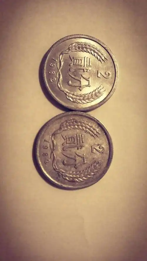 请大神指点,这两枚1982年2分是平芒版还是出芒版,谢谢