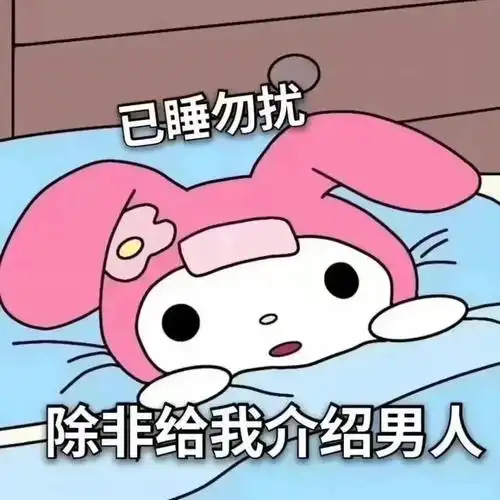 已睡勿扰除非给我介绍男人美乐蒂表情包勿扰美乐蒂表情