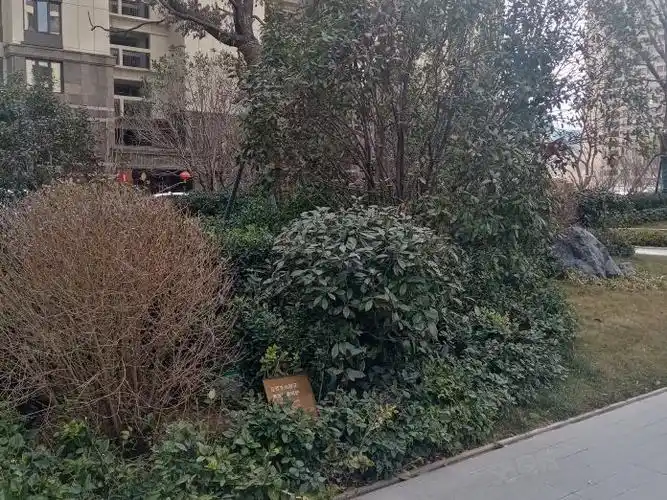 郑州房产网>郑州整租房>金水整租房>花园路整租房> 小区:保利熙悦小区