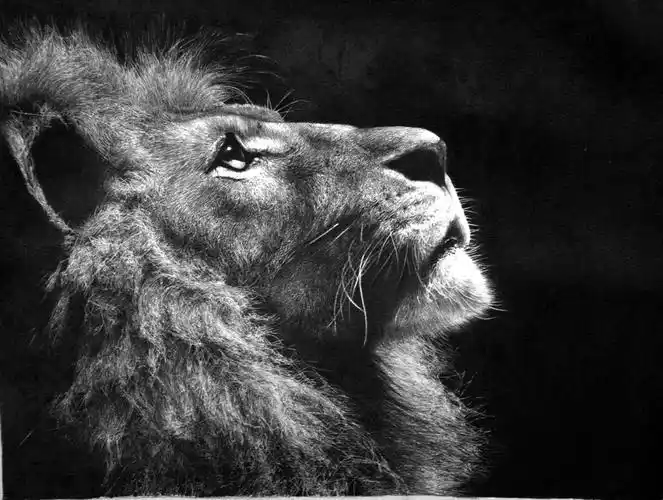 求超写实素描素描素材(高清图片)!