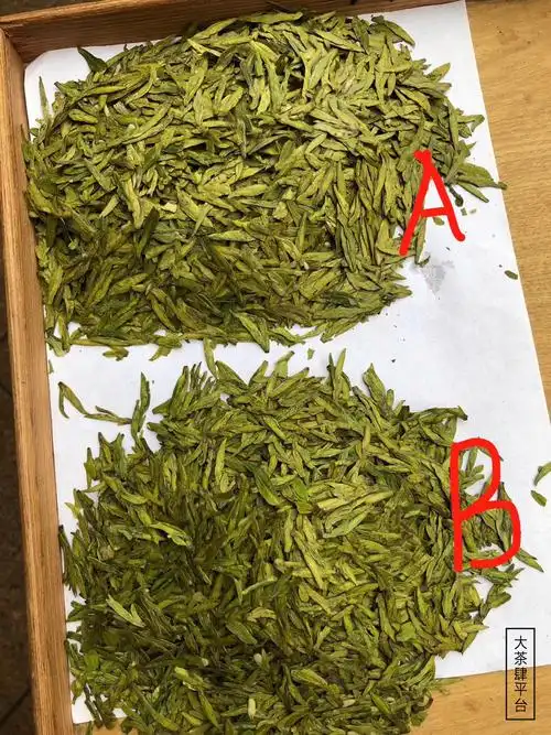 b款是龙井43茶树,紧条子做法,a款是浙农117的茶树.