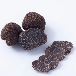 云南新鲜姬松茸