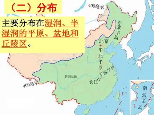 (二)分布 主要分布在湿润,半 湿润的平原,盆地和 丘陵区.