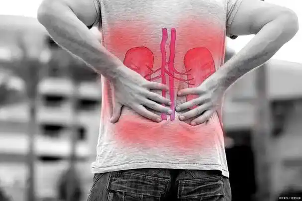 及时发现肾脏问题,以下几种检查,需及时做