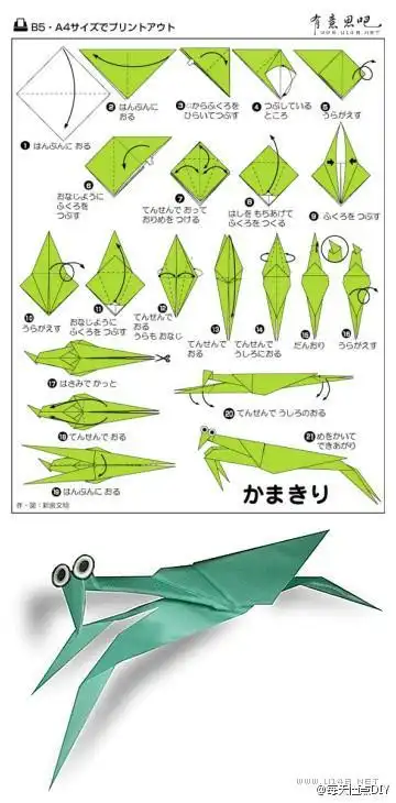 折纸马伯纳枯叶螳螂