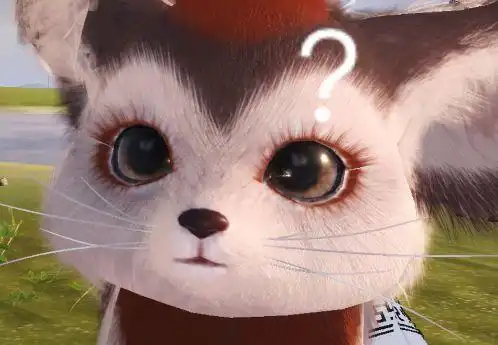 妄想山海什么宠物好