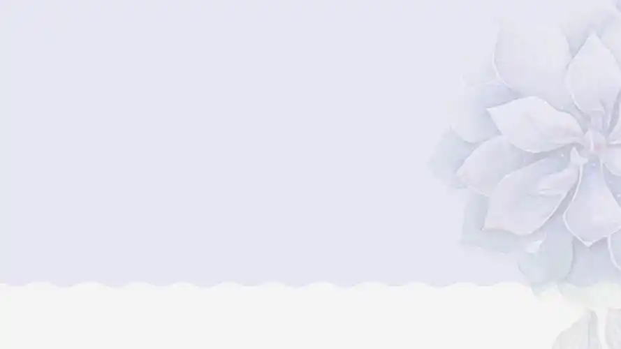 大气高端淡雅ppt背景图免费下载-ppt家园