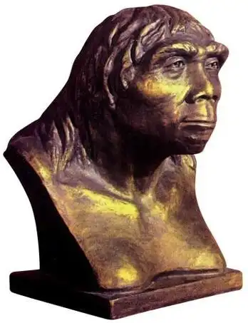 古猿人生活环境简笔画原始北京人简笔画北京元谋人简笔画原始北京人简