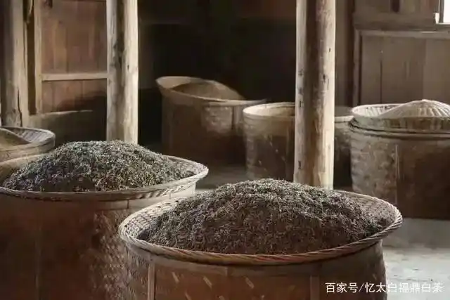 白茶的干燥工艺有哪些