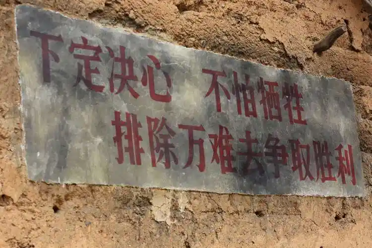 忆老家留乡愁阳春三月河南踏青赏花季