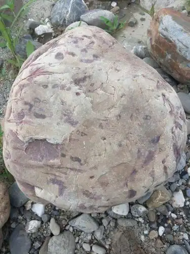 生物的朋友来看下这个石头 2010-06-13 能找到古生物化石的是什么岩石