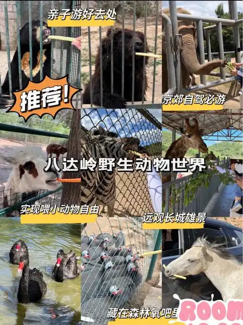 一卡通带你免费游八达岭野生动物园