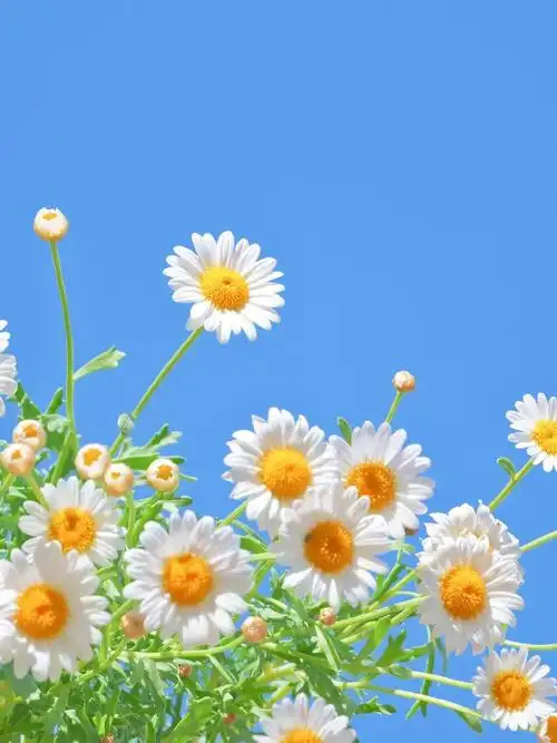 690_920竖版 竖屏