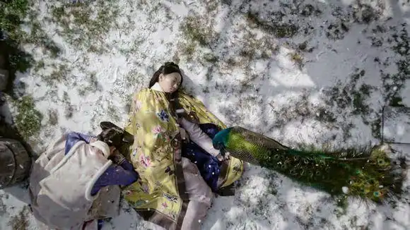 《如懿传》高二姐一生怕冷,却死在雪中