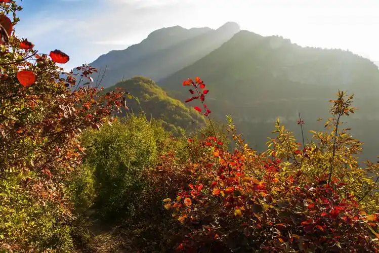 竹林沟晚秋,最是色彩斑斓时