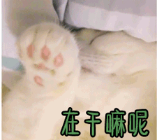 在干嘛在干嘛呢你在干嘛gif动图_动态图_表情包下载_soogif