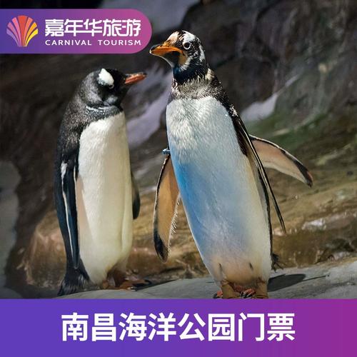 [南昌海洋公园-大门票]江西 南昌南昌海洋公园 江西旅游