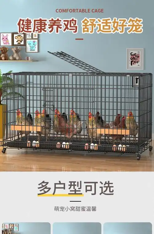 鸡笼子家用下蛋养鸡笼自动清粪滚蛋大号特大号鸡窝鸡舍折叠养殖笼带蛋