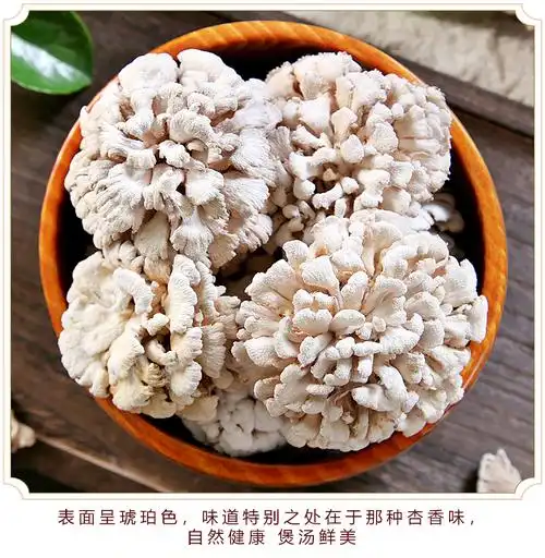 云南新鲜白参菌500g当季食用雪莲花菌菇煲汤蔬菜特产整箱时令包邮