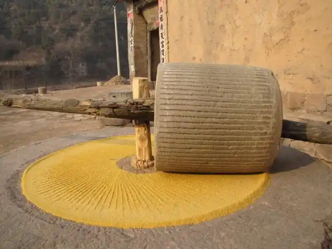 不知大家对于真正的石碾小米有没有兴趣