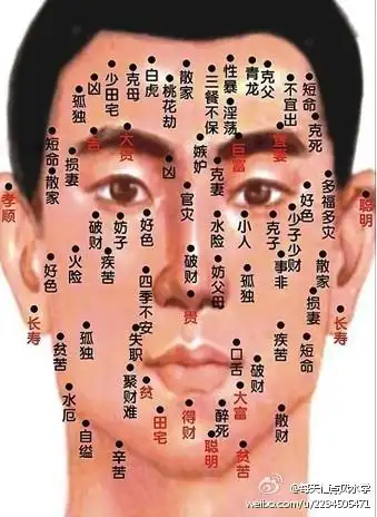 眉毛长印堂开阔. 来自史家湘姨 - 微博