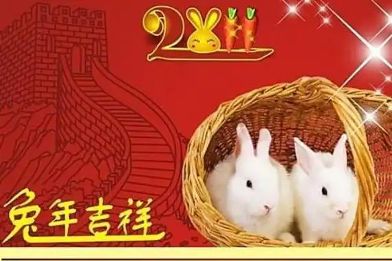 87年属什么1987年是丁卯兔年2021年正财好