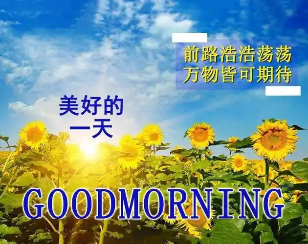 冬日特漂亮早上好带动态图片祝福语太阳依然会升起一切都会好起来