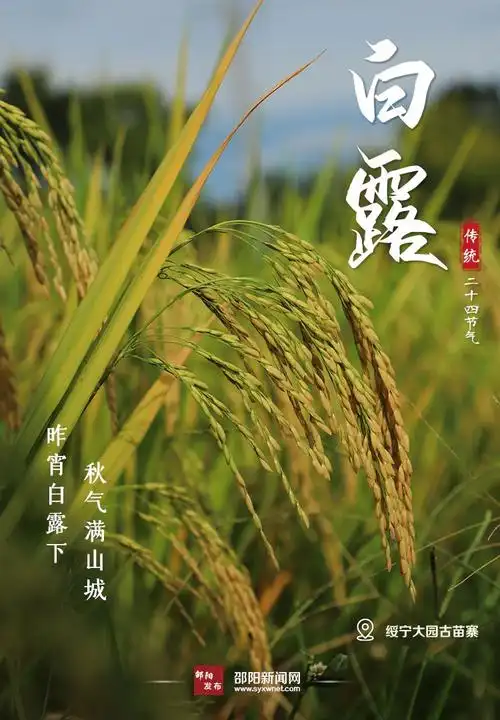 海报秋风至白露生