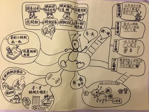 经过主题的实施不断丰富主题课程内容,生成了以下主题脉络.