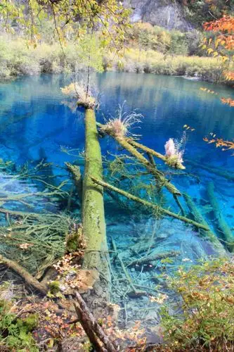 孔雀河道旅游景点