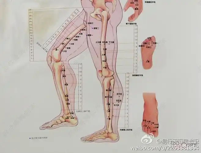 肾关穴为董氏奇穴七七(小腿)部位要穴,位置在阴陵泉穴直下一寸五分处.
