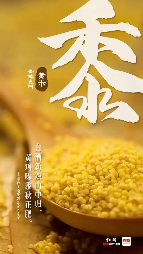 海报丨五谷丰登