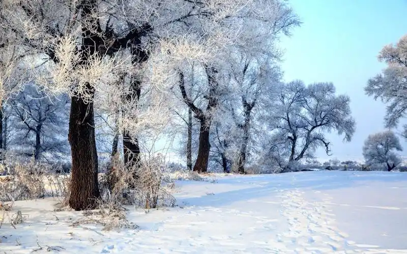 雾凇岛唯美雪景图片桌面壁纸