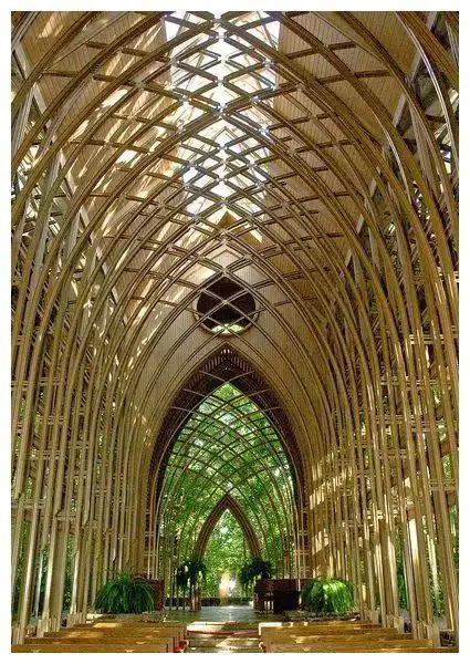 大自然|竹子|房子_新浪新闻