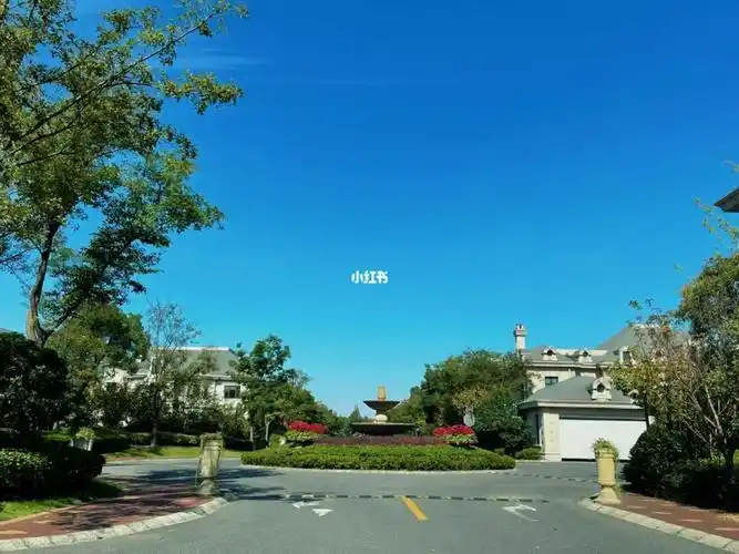 租丽华雅苑精装全配采光无敌看房随时