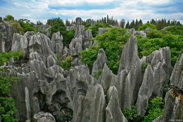 奇石林海:昆明市石林风景区的壮丽景观