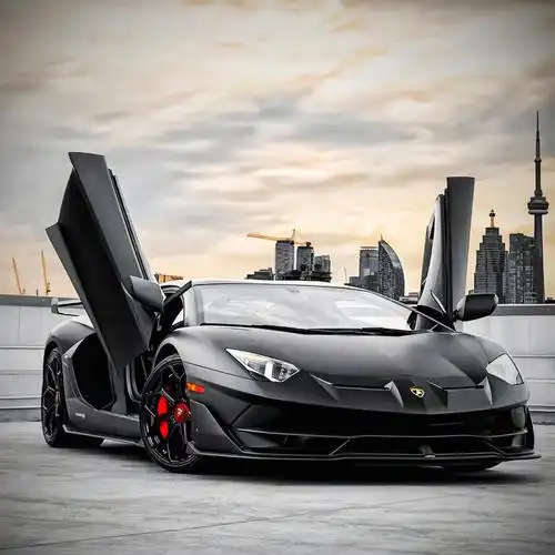 兰博基尼头像roundtwo75