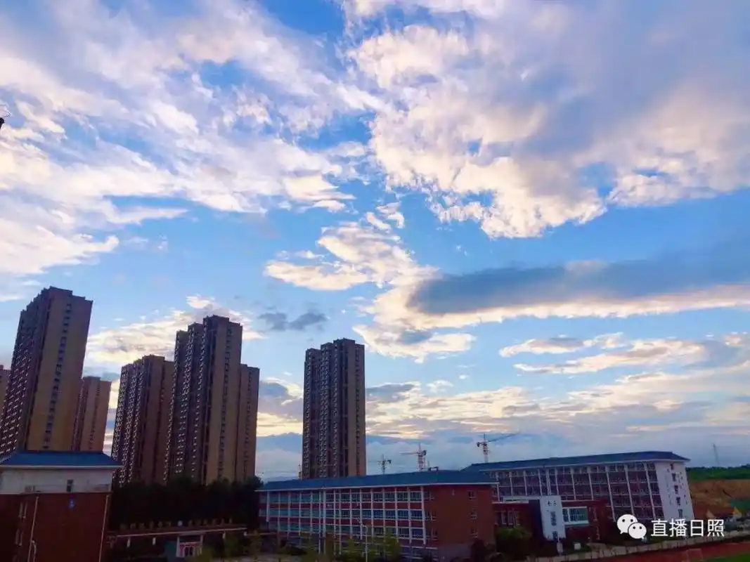 雨后的日照颜值爆表周末还有雨吗