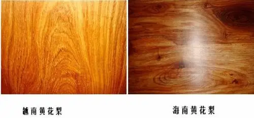 教您轻松鉴别海南黄花梨和越南黄花梨