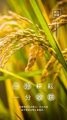 一分耕耘一分收获励志摄影图海报