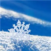 雪花图片头像