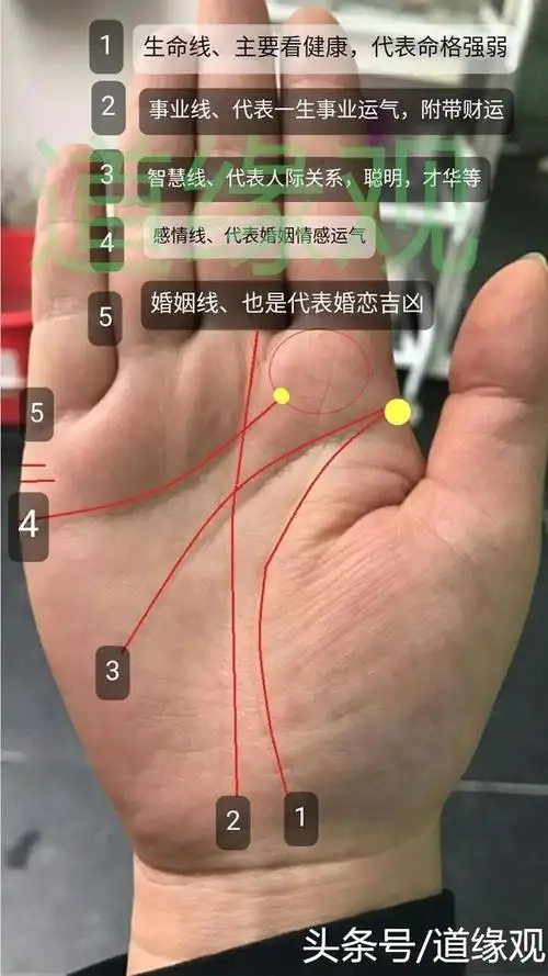 手相纹路的介绍及女士福气,吉利