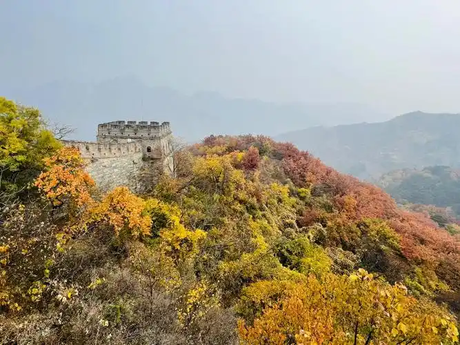 慕田峪长城  #北京周末去哪儿  #红叶季  #怀柔  #介绍一个小哥哥