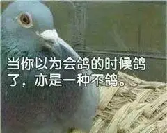 超魔性的放鸽子专用表情包你一定用得上